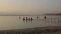 Dead Sea HD Footage