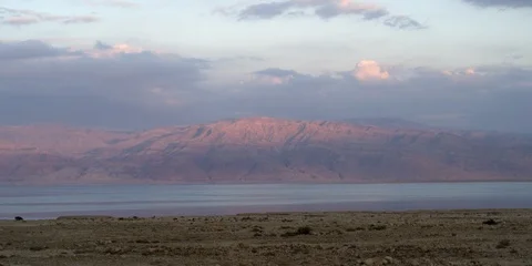 The Dead Sea Stock Footage 113383549