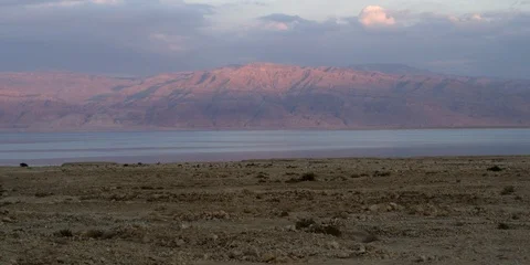 The Dead Sea 스톡 동영상 113383551