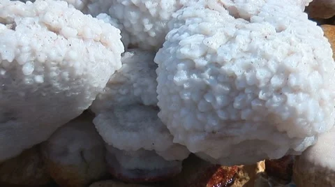 Dead Sea minerals Stock Footage 10830376
