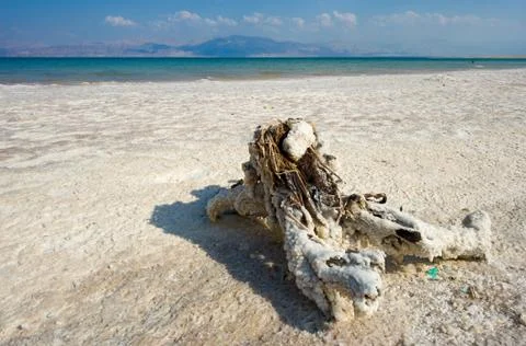 Dead Sea Stock Photos