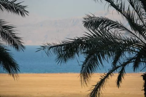 The Dead Sea. Stock Photos