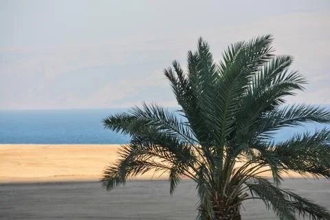 The Dead Sea. Stock Photos