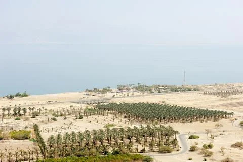 Dead Sea Stock Photos