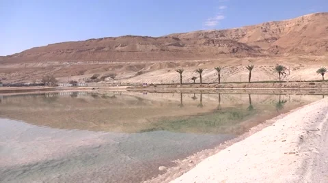 Dead sea reflection  Stock-Footage 60994276
