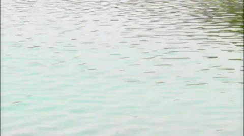 Dead Sea  surface Video stock 42660182