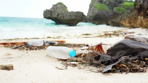 Dead sea turtle on the beach. Concept of the problem of ocean pollution caused b Vidéo 160146214