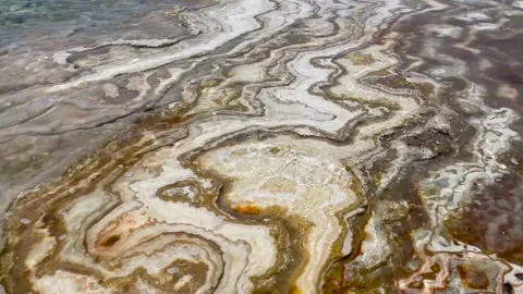 Dead sea Water Plane with lots of Salt. East Bank of Dead Sea in Jordan which is Stock Footage 237809602