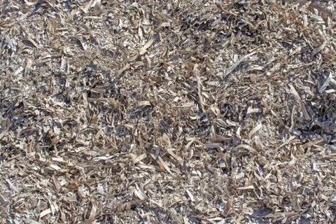 Dead seagrass surface texture closeup background Stock Photos
