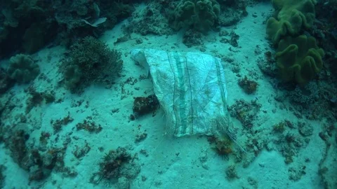 Dead shark in trash bag - conservation theme Video stock 70702676