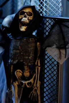 Dead skull of a ghost skeleton with black cloth hanging and looking straight Stock Photos