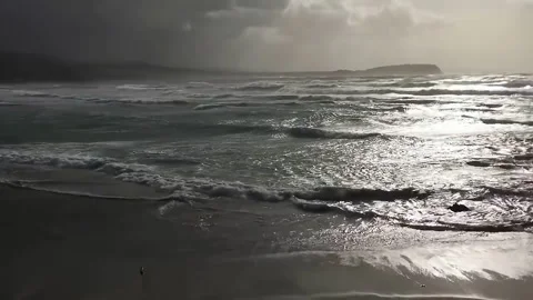 Dead sperm whale beached at the mercy of the waves in a stormy beach Stock Footage 141945992