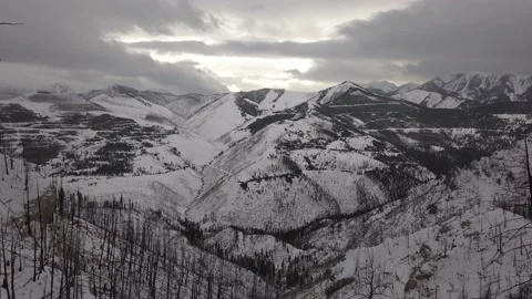 Dead tree and burned area in snow mountains Stock-Footage 166067885