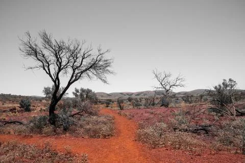 Dead tree and red sand at Karijini National Park close to Dales Gorge in arti Stock Photos