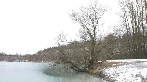 A dead tree besides a lake Stock Footage 87503966