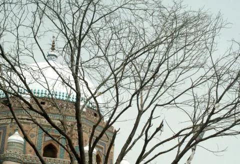 Dead tree branches with mosque view behind Stock Photos