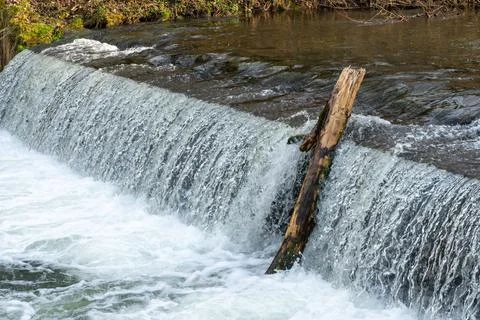 Dead tree clinched under waterfall on a cold day of spring. Tree trunk in water Stock Photos