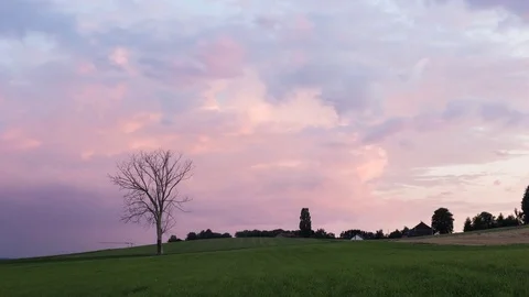 A dead tree in the countryside at sunset Stockbeeldmateriaal 83678182