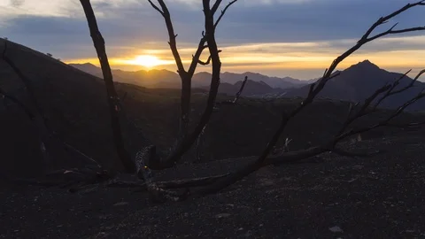 Dead Tree in Dark Apocalyptic Landscape Vídeo Stock 99932538