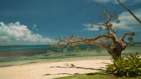 Dead tree decorated with glass bulbs on white sand beach Stock Footage 67600487