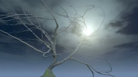 Dead tree 스톡 동영상 12269061