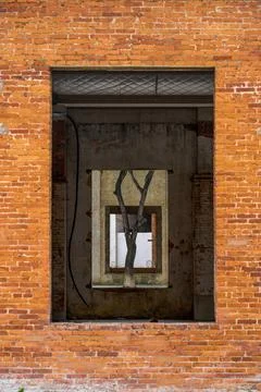 Dead tree in the frame of the old red brick wall with layers of window openin Stock Photos