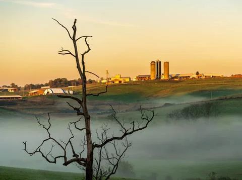 Dead tree frames WVU organic farm at Morgantown Stock Photos