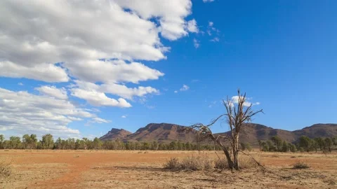 Dead tree in front of the Flinders Ranges,4k,timelapse 動画素材 229996145