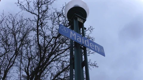 Dead Tree Grey Sky with Lamp Post 4K Stock Footage 127611065