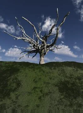 Dead Tree Stock Illustration