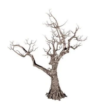Dead tree isolated on white background, 3D rendering Stock Illustration
