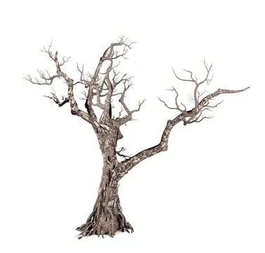 Dead tree isolated on white background, 3D rendering Stock Illustration