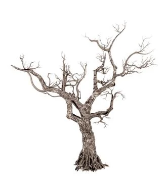 Dead tree isolated on white background, 3D rendering Stock Illustration