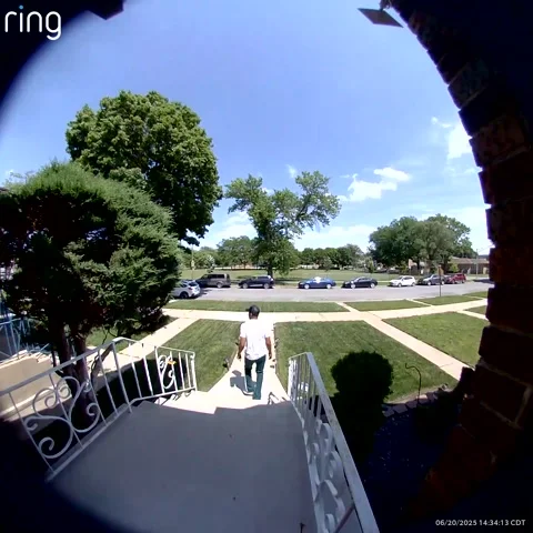 Dead Tree Limb Falls On Parked Car As Owner Walks Up, Chicago, Illinois, USA - 2 스톡 동영상 311831085