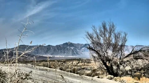 Dead Tree, Lonely Road Stock-Footage 38107444