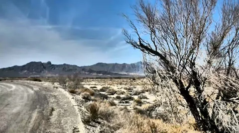 Dead Tree, Lonely Road Vídeos de archivo 38107622