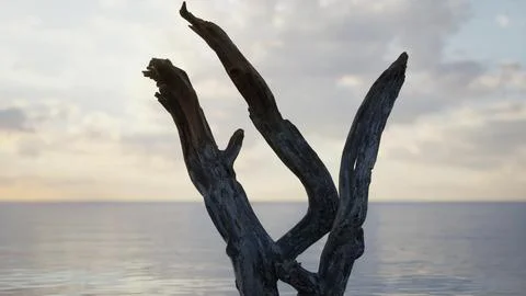 A dead tree in the middle of a body of water Stock Illustration