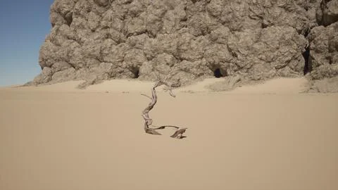 A dead tree in the middle of a desert Stock Illustration
