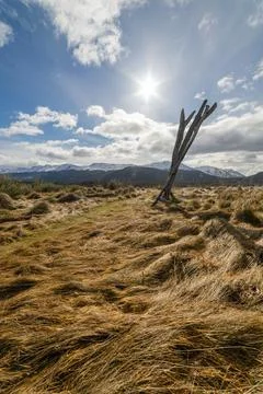 Dead tree in the middle of the mountains Stock Photos