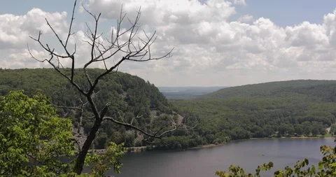 Dead Tree over Devils Lake Video stock 94499531