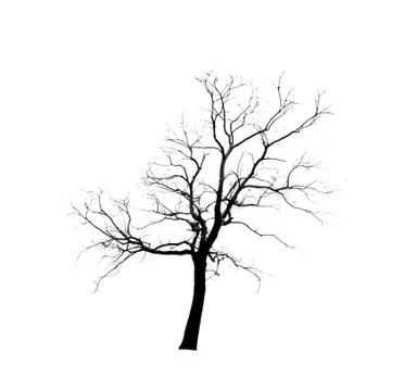 Dead tree Foto stock