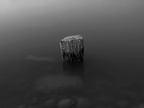 Dead tree Stock Photos