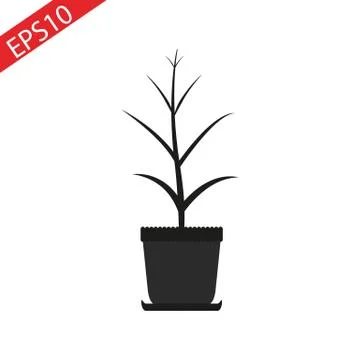 Dead tree in pot. Interior decoration vector illustration Stock Illustration