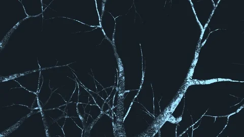 Dead tree rotation paint blue Video stock 99711988