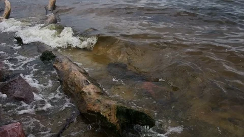 Dead tree in the sea with waves crashing against it Video stock 77101875