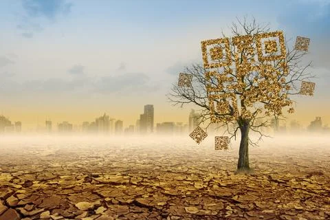 Dead tree shaped like qrcore in the dry forest and city background. Technol.. Stock Photos