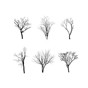 Dead tree silhouette isolated on white background Stock Illustration
