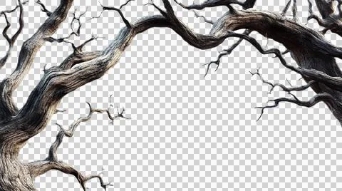 Dead tree trunk as element Stock Photos