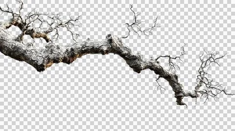 Dead tree trunk as element Stock Photos