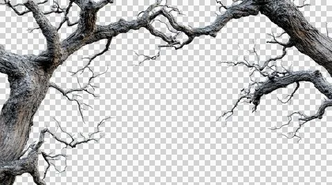 Dead tree trunk as element Stock Photos